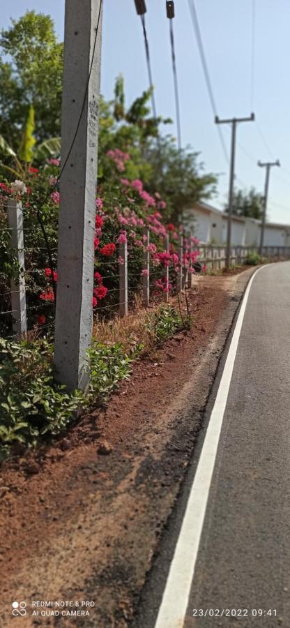 Homestay568 Branch 2 Muang Suang Екстер'єр фото